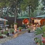 Sanfilippo Campsite *