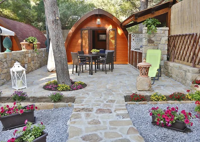 Sanfilippo אתר קמפינג *