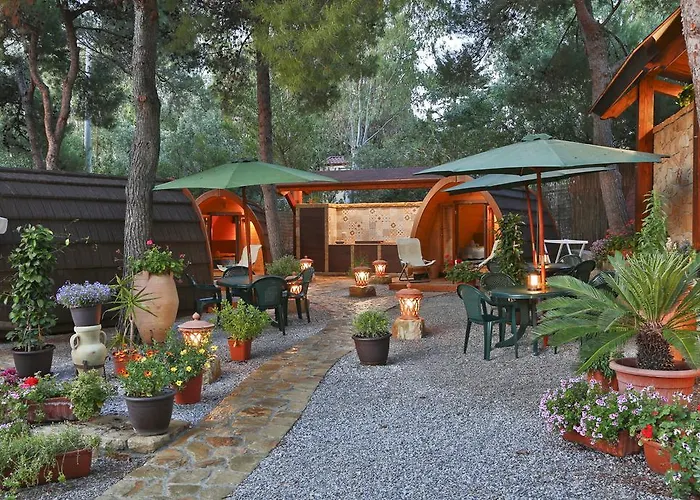 Sanfilippo * צ'פאלו